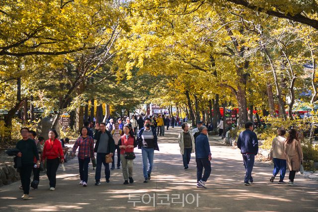설악산 단풍 관광객/사진=속초시