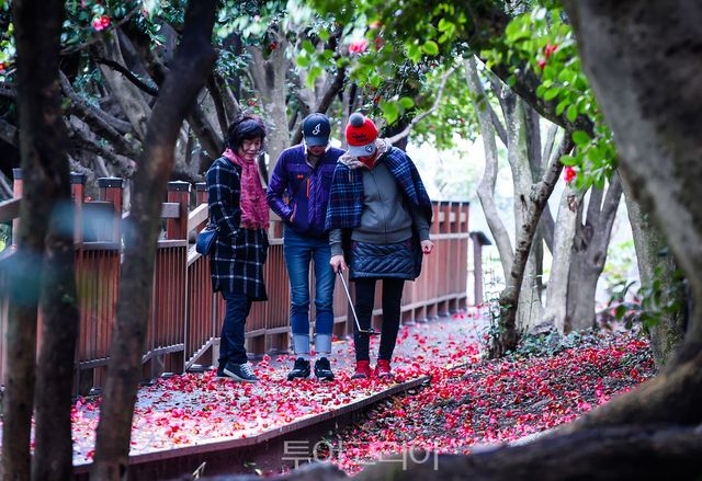 지난해 여수시를 방문한 관광객이 2020년보다 12% 증가한 977만 명으로 잠정 집계됐다.오동도 동백