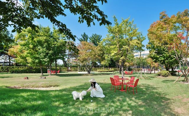 교원그룹 키녹 야외 펫파크/사진-교원투어
