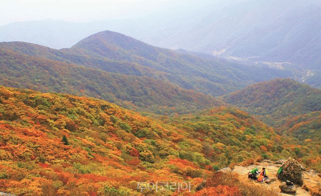 광양 백운산의 가을/사진-광양시