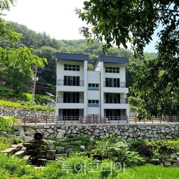 함양 산삼자연휴양림/사진-함양군