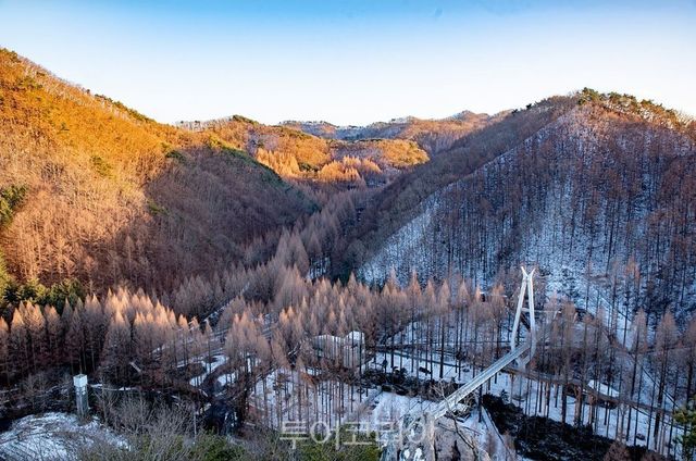 장태산 자연휴양림/사진=대전시