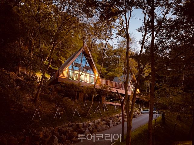 만인산 자연휴양림 트리하우스/사진=대전시