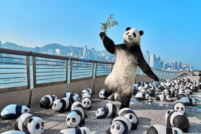 판다 고! 페스트/사진-홍콩관광청