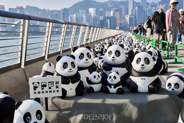 판다 고! 페스트/사진-홍콩관광청
