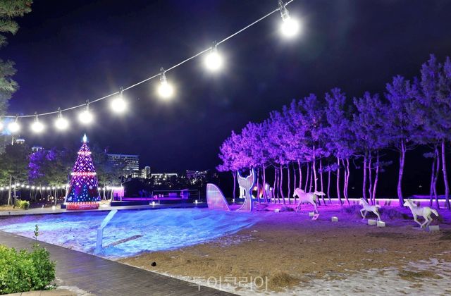 삼척해수욕장/사진-삼척시