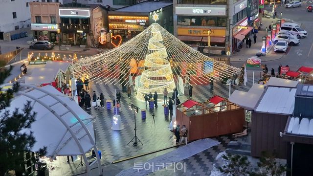 크리스마스트리/사진-삼척시