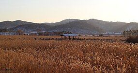 안산 갈대습지공원