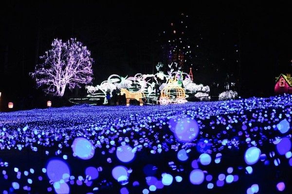 아침고요수목원 오색별빛정원전