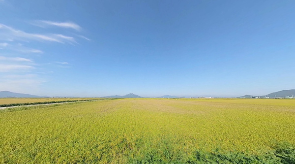 사진제공=강화군청