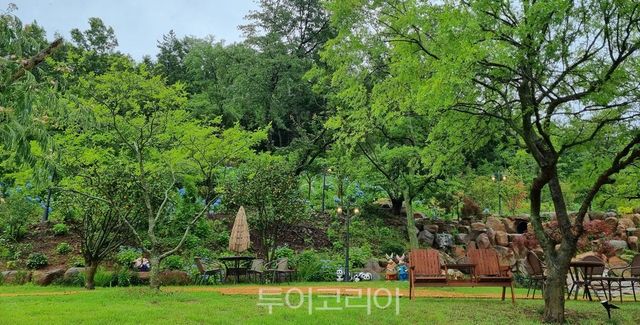 비원-바람의 정원/사진=전남도