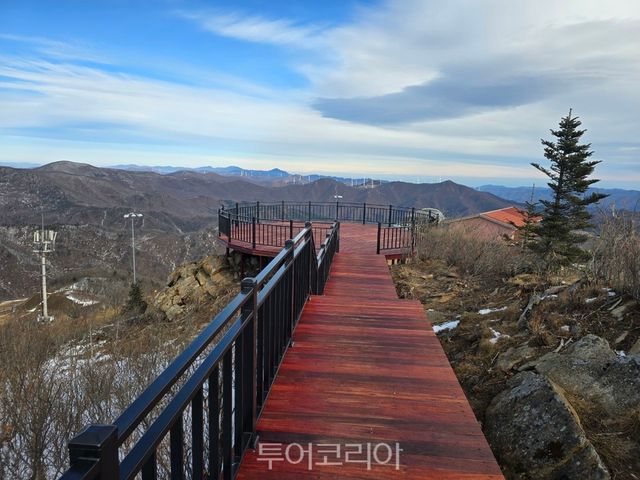 함백산 숲길 전망대