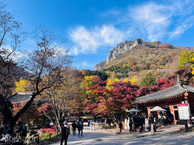 장성 백양사와 백암산이 국립공원 지정 이후 최초로 100만 방문을 넘어섰다/사진-장성군