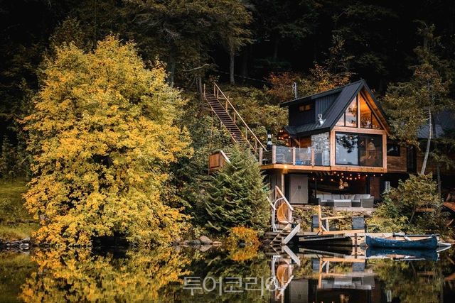 호숫가에 위치한 아름다운 트리하우스