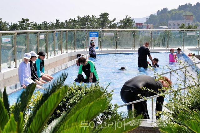 율포해수녹차센터/사진-보성군