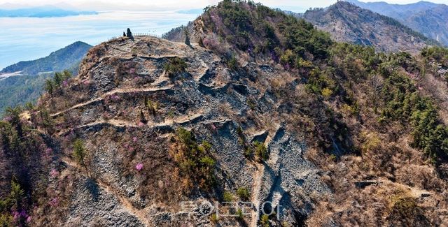 국가등록문화재 지정 '득량면 오봉산 우마차길'/ 사진-보성군