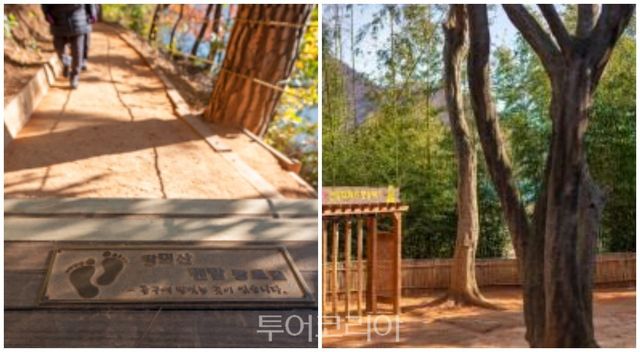 땅뫼산 황토숲길 및 회동수원지/사진-부산관광공사