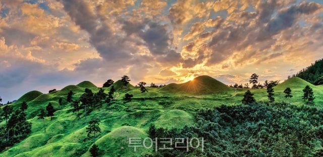 고령 지산동고분군