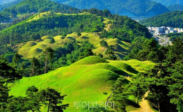 지산동 고분군의 봄 풍경