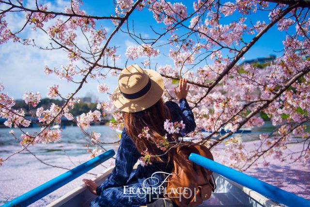 프레이저 플레이스 서울, 봄패키지