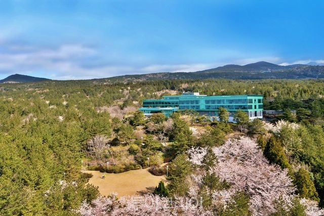 위(WE)호텔 제주