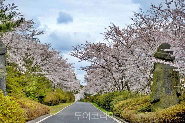 위(WE)호텔 제주