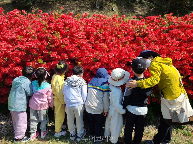 완도수목원 숲 해설/사진-전남도