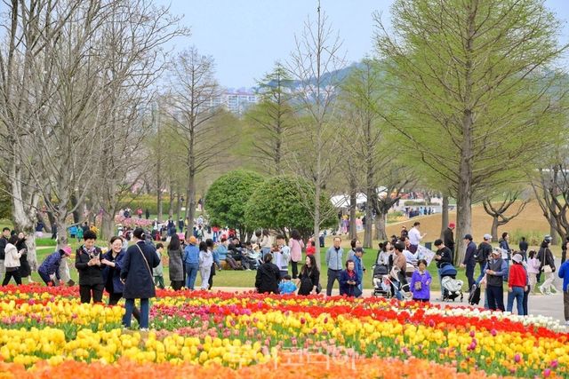 주말 순천만국가정원을 찾은 관람객들/사진-순천시