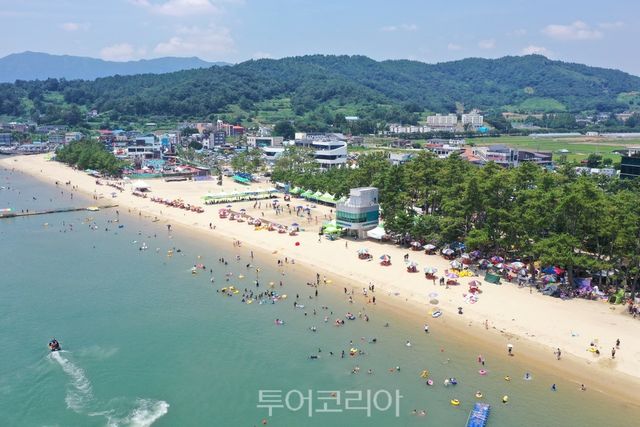 보성 율포솔밭해수욕장 전경