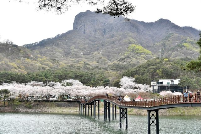 추월산과 용마루길/사진-담양군