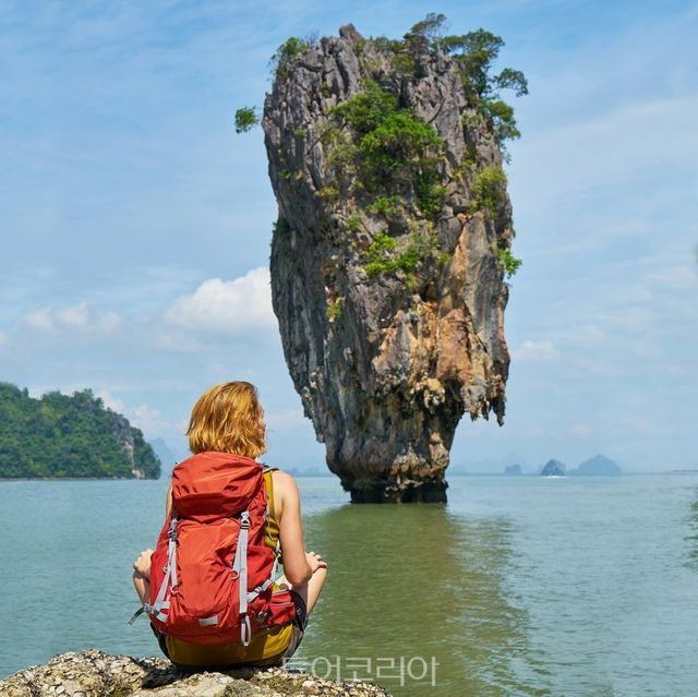팡아 /사진-픽사베이