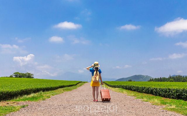 사진출처-이미지투데이