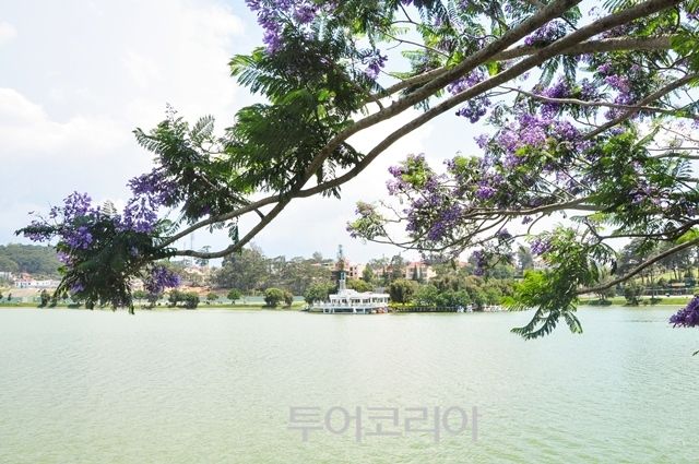 베트남 달랏/ 참좋은여행 제공