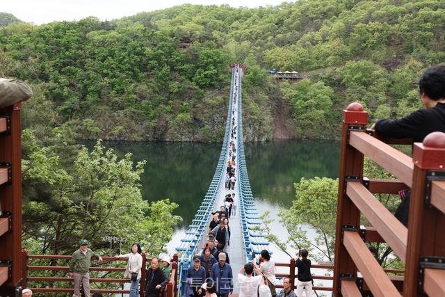초평호 미르 309 출렁다리/사진-진천군