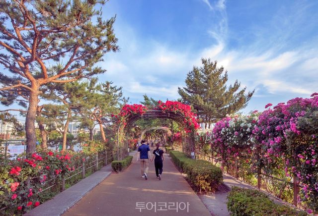 4코스 중랑장미공원 전경
