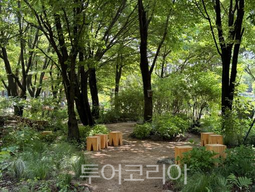 광야숲/사진-서울시