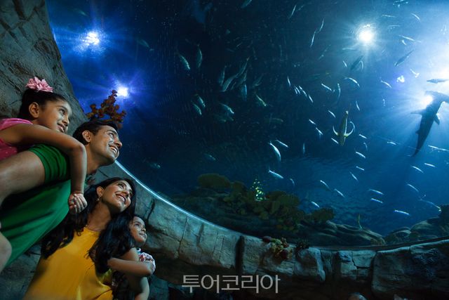 주제별 교육 프로그램을 제공하는 홍콩의 대표 테마파크 오션파크/사진-홍콩관광청