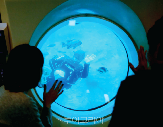 서귀포잠수함/사진-대국해저관광