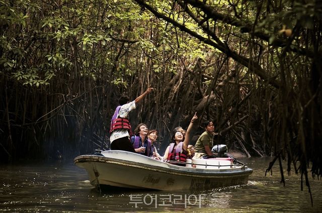 맹그로브 디스커버리 투어ⓒMangrove Tour NZpix /사진-인도네시아관광부 제공