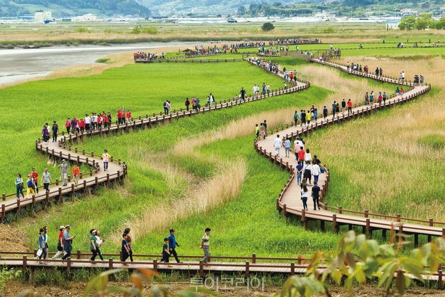 순천만 나들이/사진-전남도