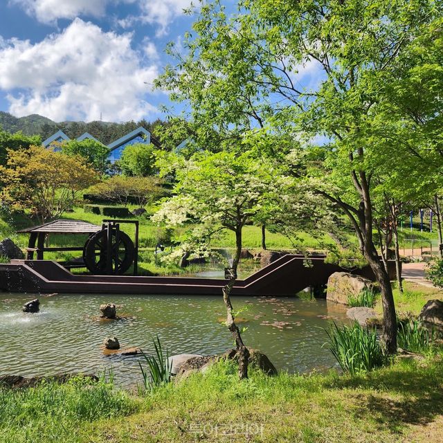 백운산자연휴양림 식물생태숲/사진-광양시