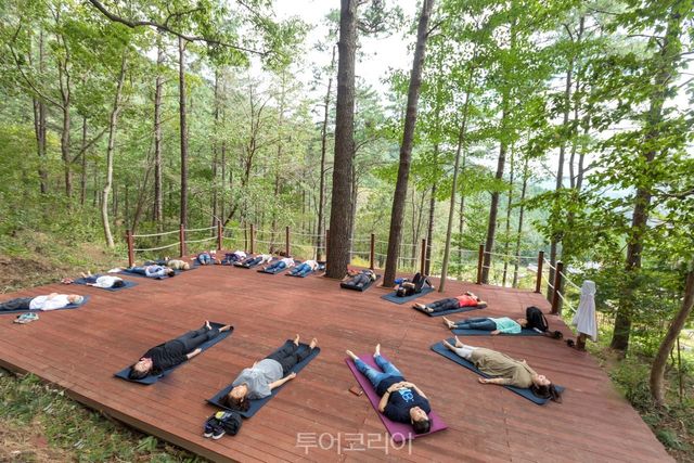 백운산자연휴양림 치유의 숲 프로그램 /사진-광양시