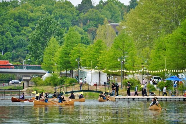 담양대나무축제 카누체험