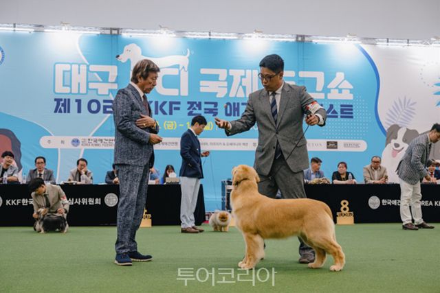 대구 펫쇼 / 사진-대구