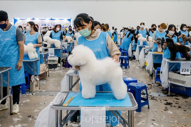 대구 펫쇼/사진-대구