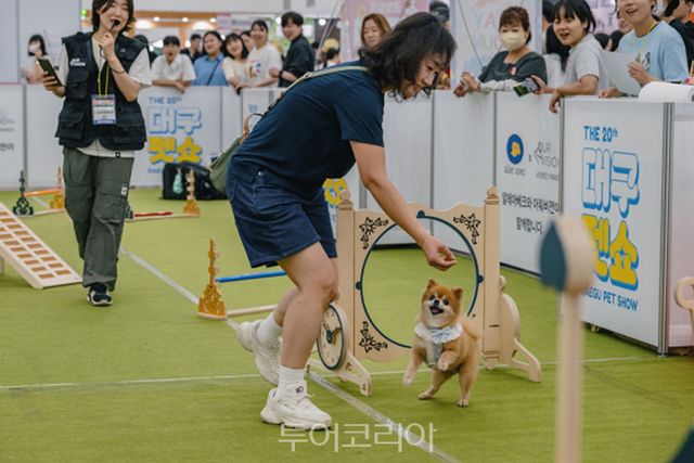 대구 펫쇼 / 사진-대구