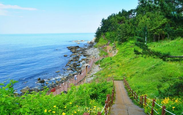 속초 외옹치 바다향기로/사진-투어코리아