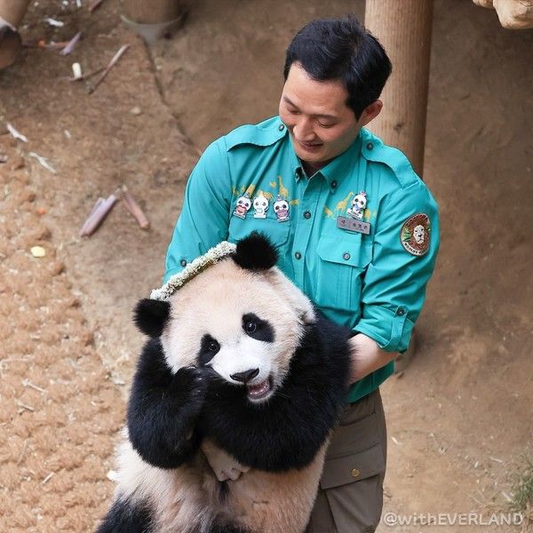 에버랜드 공식 인스타그램