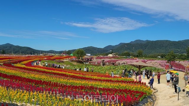 고성정 꽃밭