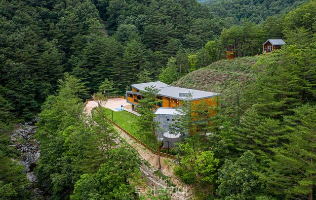 활기치유의 숲/사진-삼척시